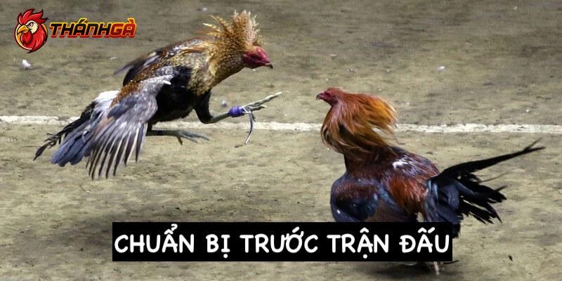 Chuẩn bị trước trận đấu để đảm bảo công bằng