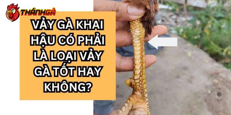 Vảy khai hậu được xem là loại xấu không có sức chiến đấu