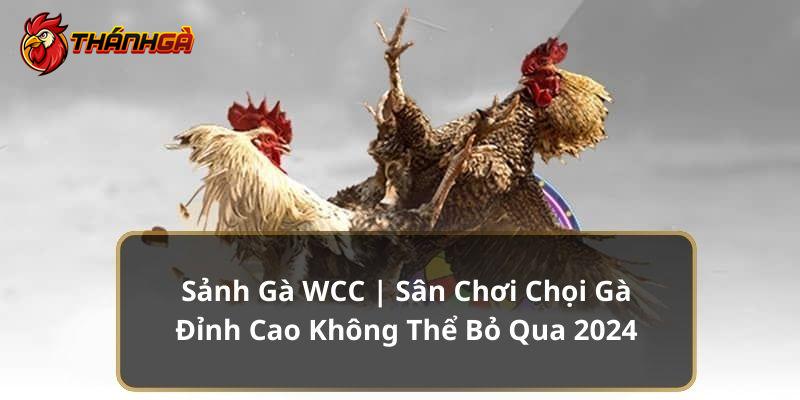 sảnh gà Wcc